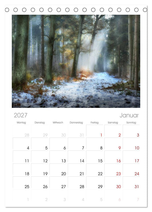 Waldkalender (CALVENDO Tischplaner A5H 2027)