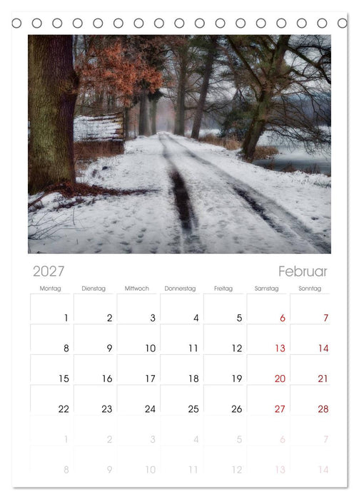 Waldkalender (CALVENDO Tischplaner A5H 2027)