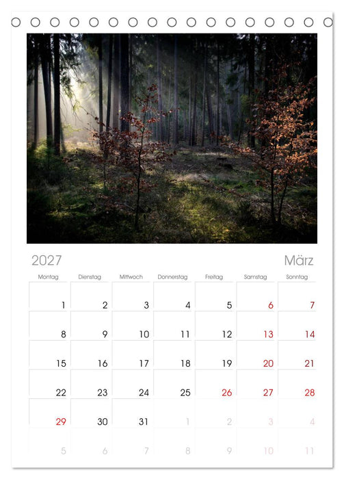 Waldkalender (CALVENDO Tischplaner A5H 2027)