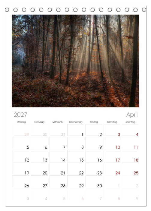 Waldkalender (CALVENDO Tischplaner A5H 2027)