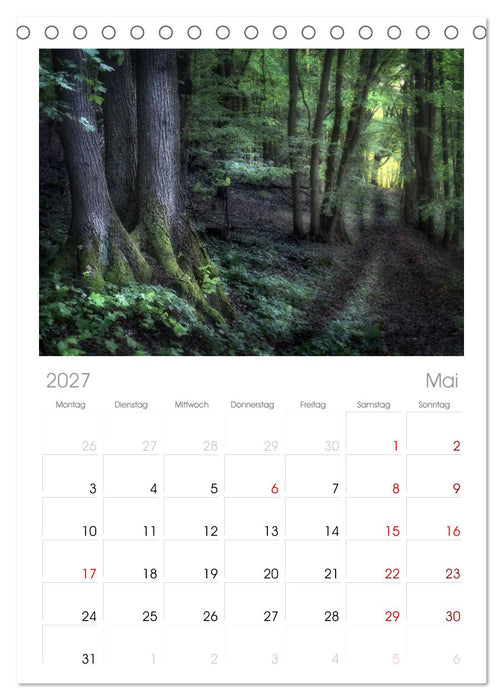 Waldkalender (CALVENDO Tischplaner A5H 2027)