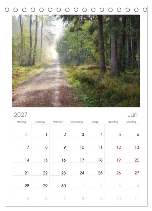 Waldkalender (CALVENDO Tischplaner A5H 2027)