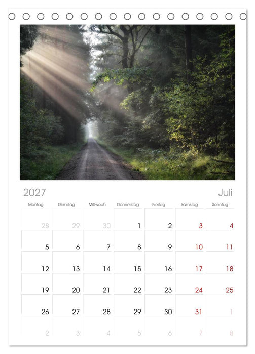 Waldkalender (CALVENDO Tischplaner A5H 2027)