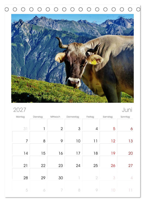 Alpenüberquerung (CALVENDO Tischplaner A5H 2027)