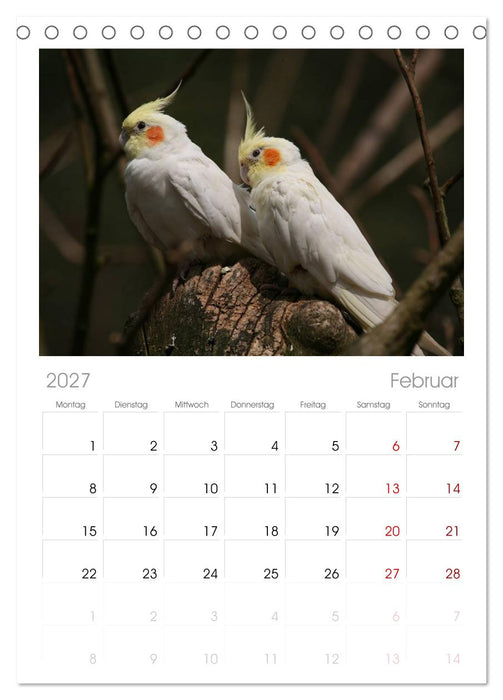 Nymphensittiche (CALVENDO Tischplaner A5H 2027)