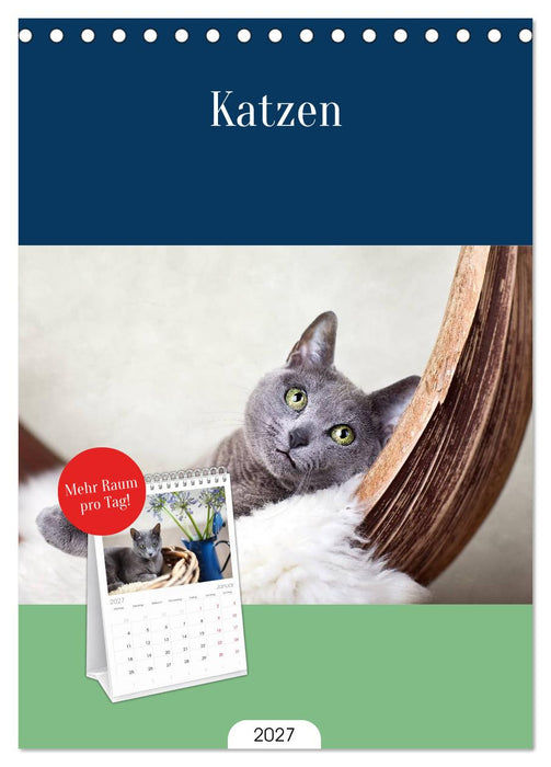 Katzen (CALVENDO Tischplaner A5H 2027)