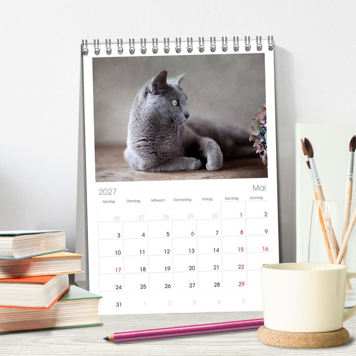 Katzen (CALVENDO Tischplaner A5H 2027)
