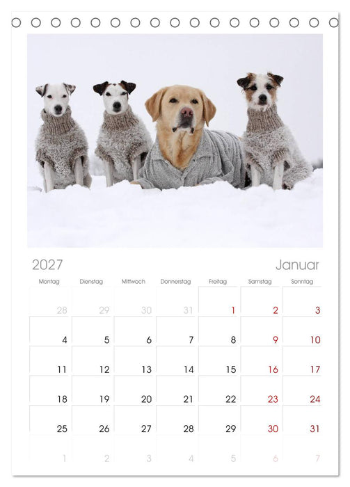 Parson Russell Terrier (CALVENDO Tischplaner A5H 2027)