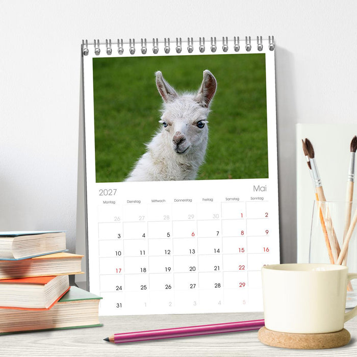 Lama-Kalender (CALVENDO Tischplaner A5H 2027)