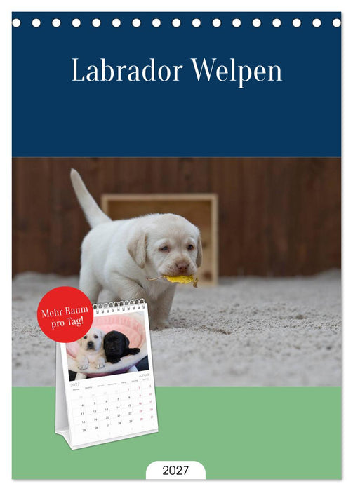 Labrador Welpen (CALVENDO Tischplaner A5H 2027)