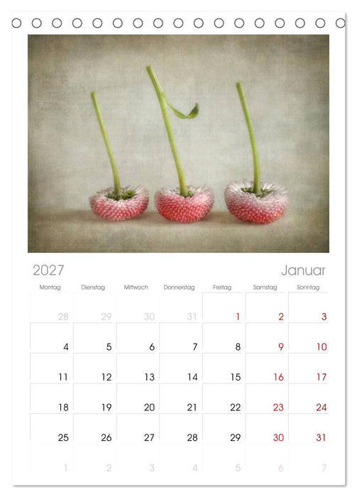 Vintage Flowers (CALVENDO Tischplaner A5H 2027)