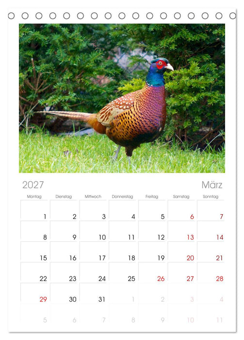 Heimische Vögel (CALVENDO Tischplaner A5H 2027)