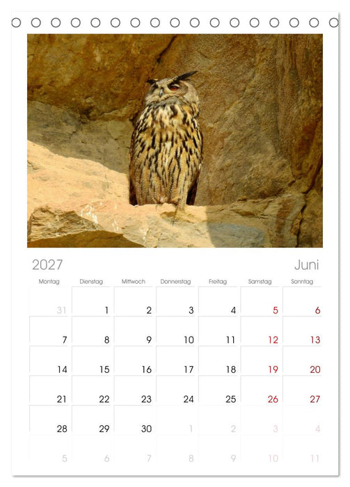 Heimische Vögel (CALVENDO Tischplaner A5H 2027)