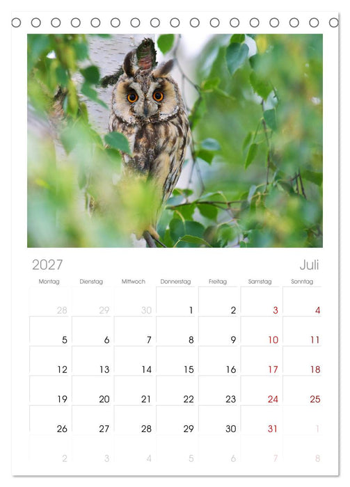 Heimische Vögel (CALVENDO Tischplaner A5H 2027)