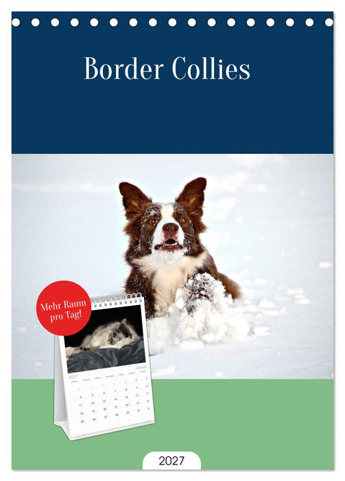 Border Collies (CALVENDO Tischplaner A5H 2027)