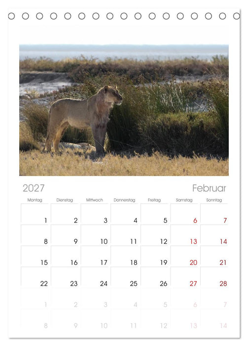 Wildes Namibia (CALVENDO Tischplaner A5H 2027)