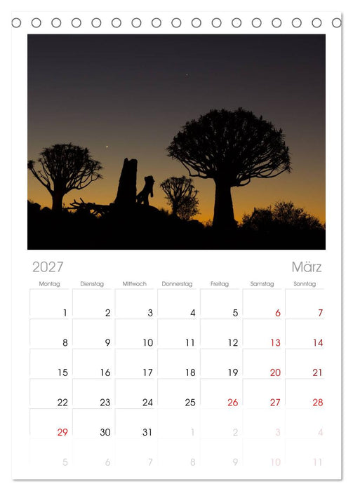 Wildes Namibia (CALVENDO Tischplaner A5H 2027)