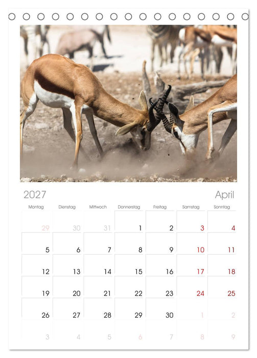 Wildes Namibia (CALVENDO Tischplaner A5H 2027)