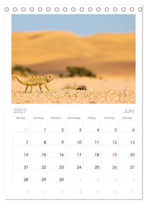 Wildes Namibia (CALVENDO Tischplaner A5H 2027)