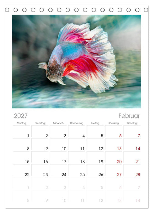 Fischwelt - Artwork (CALVENDO Tischplaner A5H 2027)