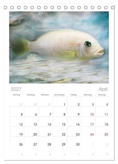 Fischwelt - Artwork (CALVENDO Tischplaner A5H 2027)