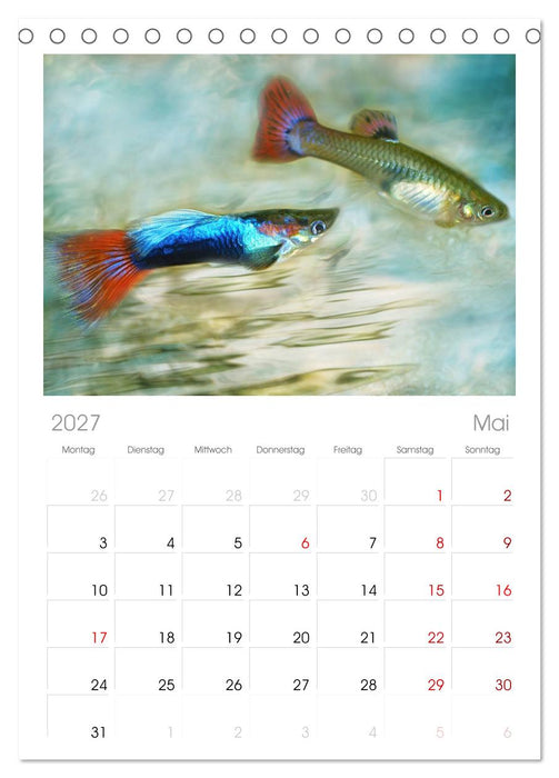 Fischwelt - Artwork (CALVENDO Tischplaner A5H 2027)