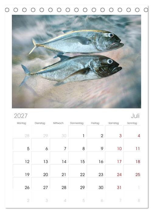 Fischwelt - Artwork (CALVENDO Tischplaner A5H 2027)