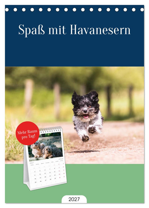Spaß mit Havanesern (CALVENDO Tischplaner A5H 2027)