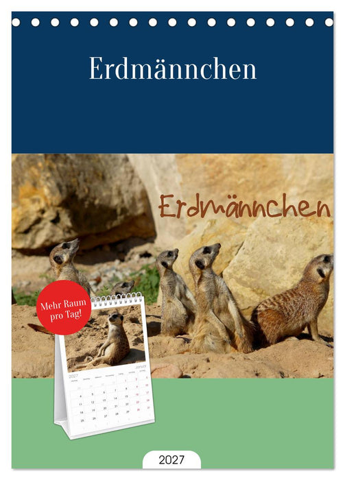 Erdmännchen (CALVENDO Tischplaner A5H 2027)