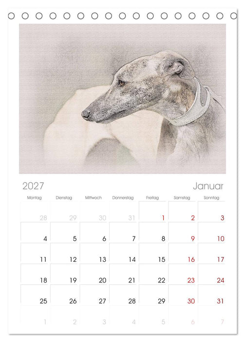 Whippet 2027 (CALVENDO Tischplaner A5H 2027)