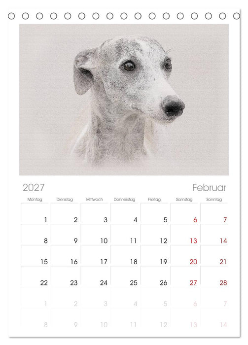 Whippet 2027 (CALVENDO Tischplaner A5H 2027)