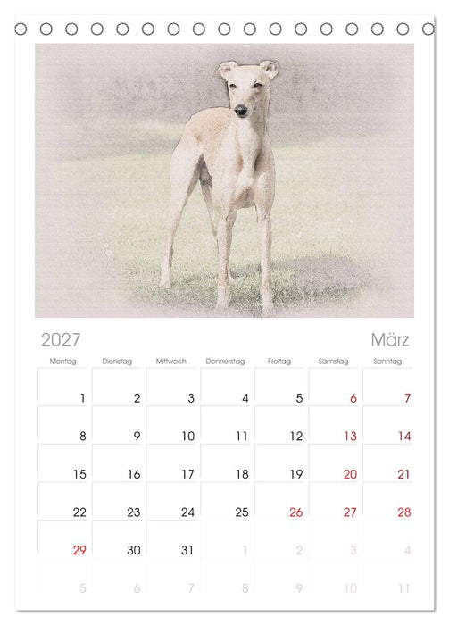 Whippet 2027 (CALVENDO Tischplaner A5H 2027)
