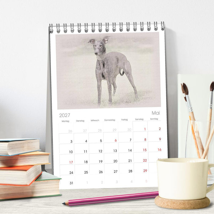 Whippet 2027 (CALVENDO Tischplaner A5H 2027)