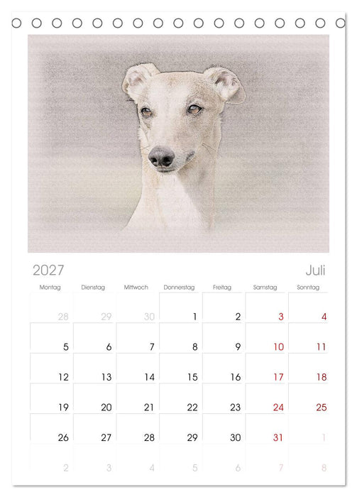 Whippet 2027 (CALVENDO Tischplaner A5H 2027)