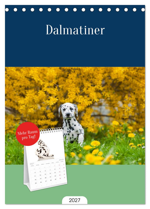 Dalmatiner (CALVENDO Tischplaner A5H 2027)