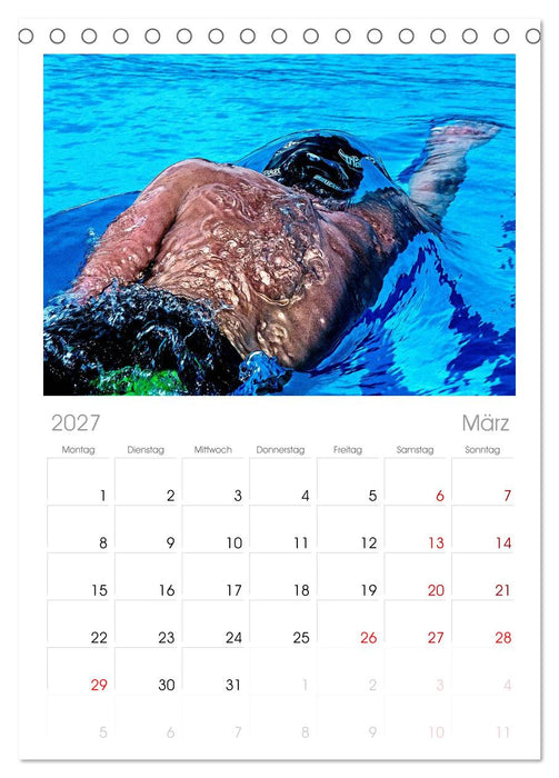 TRIATHLON (CALVENDO Tischplaner A5H 2027)