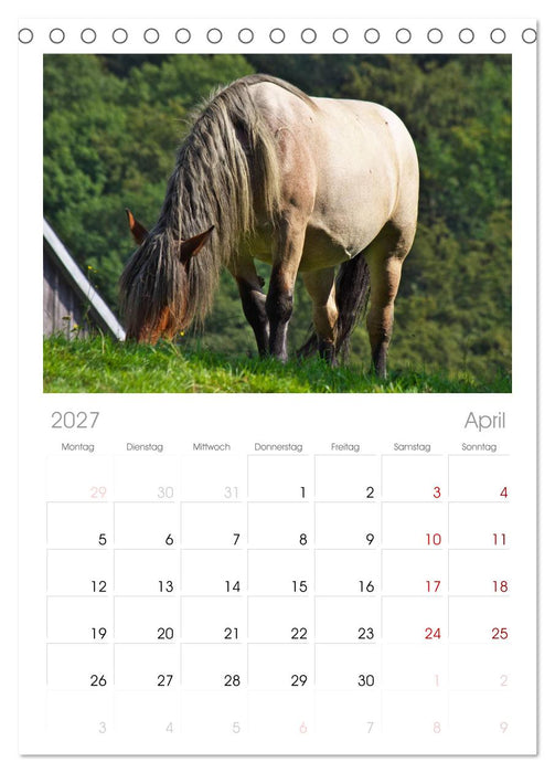 Der Pferdekalender (CALVENDO Tischplaner A5H 2027)