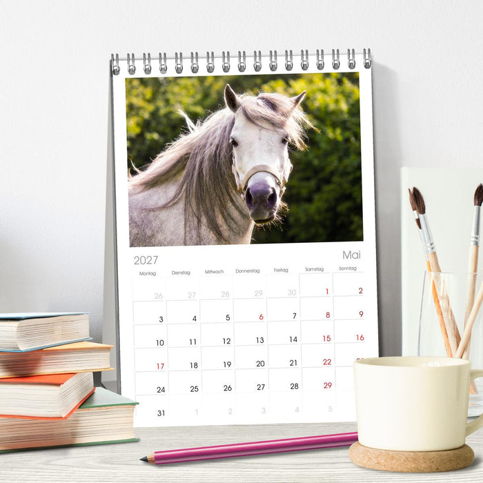 Der Pferdekalender (CALVENDO Tischplaner A5H 2027)