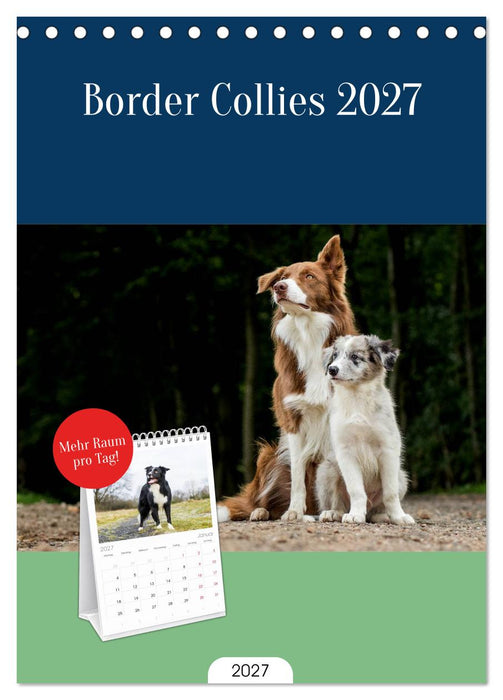 Border Collies 2027 (CALVENDO Tischplaner A5H 2027)
