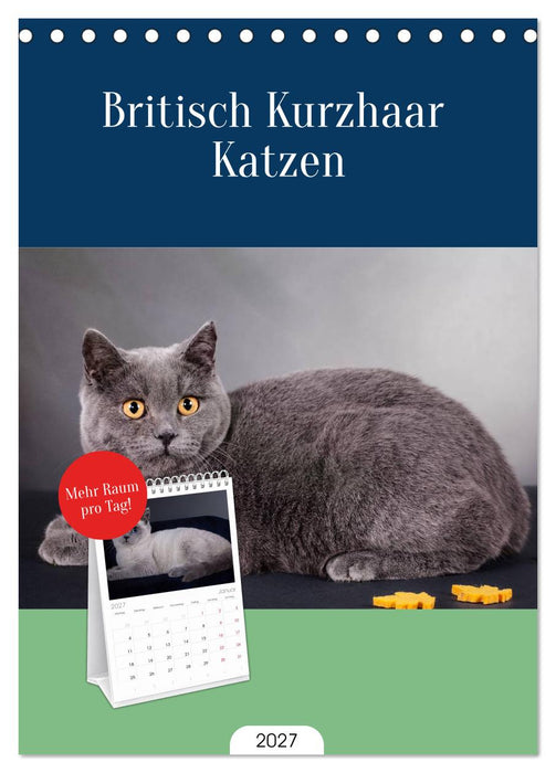 Britisch Kurzhaar Katzen (CALVENDO Tischplaner A5H 2027)
