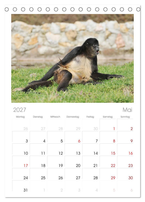 Sri Lanka (CALVENDO Tischplaner A5H 2027)