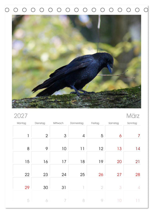 Das Leben der Rabenvögel (CALVENDO Tischplaner A5H 2027)