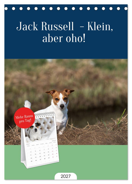 Jack Russell - Klein, aber oho! (CALVENDO Tischplaner A5H 2027)
