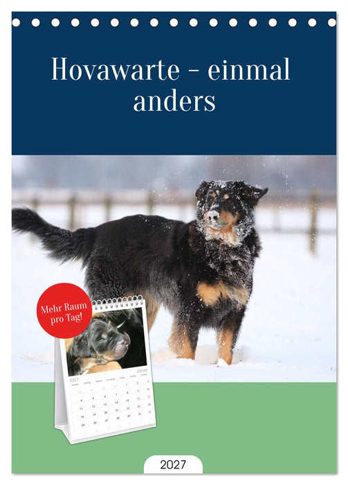 Hovawarte - einmal anders (CALVENDO Tischplaner A5H 2027)