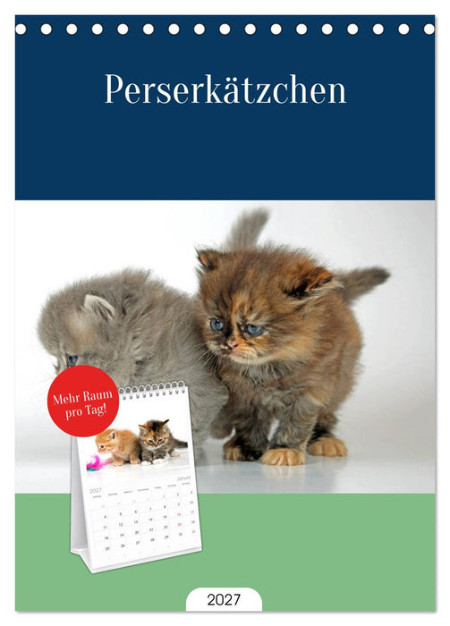 Perserkätzchen (CALVENDO Tischplaner A5H 2027)