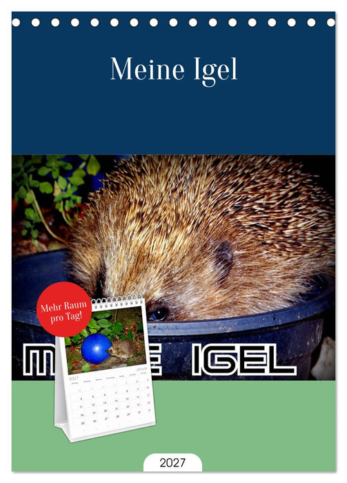 Meine Igel (CALVENDO Tischplaner A5H 2027)