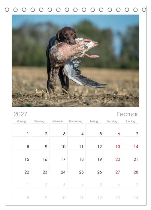 Jagdhunde bei der Arbeit (CALVENDO Tischplaner A5H 2027)