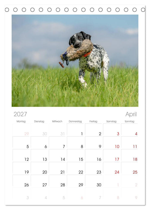 Jagdhunde bei der Arbeit (CALVENDO Tischplaner A5H 2027)