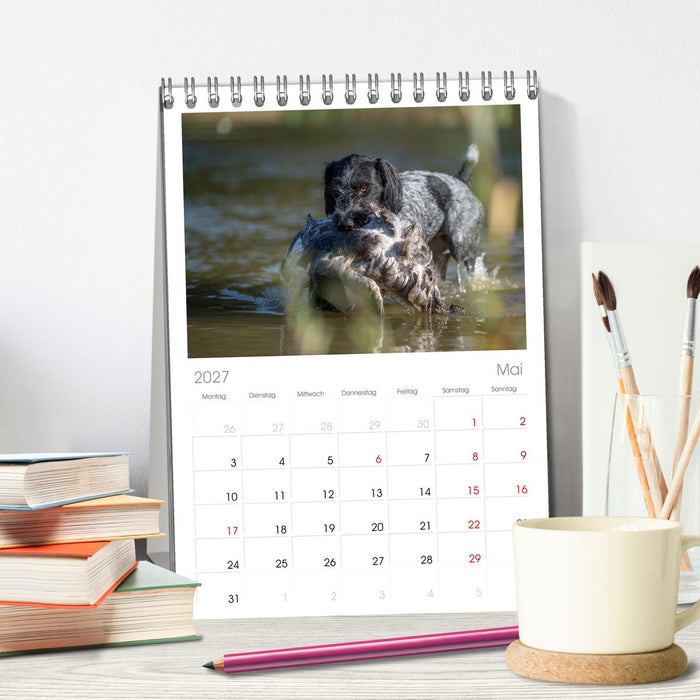 Jagdhunde bei der Arbeit (CALVENDO Tischplaner A5H 2027)