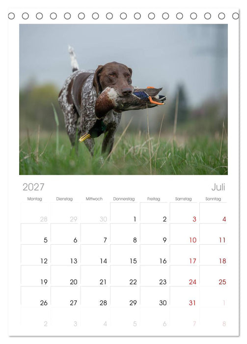 Jagdhunde bei der Arbeit (CALVENDO Tischplaner A5H 2027)